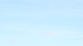 El cachalote con basura es una muestra del problema de la contaminación marina.