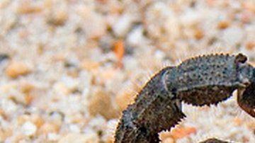 United Airlines informó que la mujer fue tratada por paramédicos.