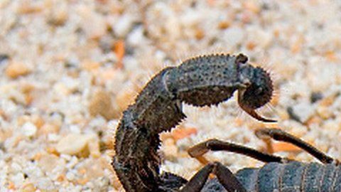 United Airlines informó que la mujer fue tratada por paramédicos.