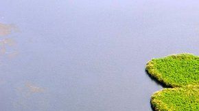 Los científicos hallaron una explicación para el fuerte aumento del metano en la atmósfera.