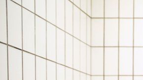 110122431_6bba4c23-cb4e-406c-84d4-ca01dd5d409a