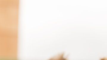 110150274_gettyimages-613753116-1