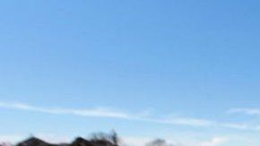 110164976_gettyimages-1147869669