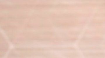 El presidente Vladimir Putin habló durante cuatro horas.