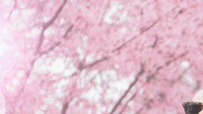 Si no prestamos atención al entorno que nos rodea, los riesgos son evidentes.