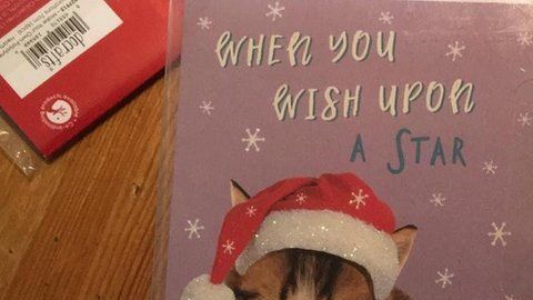 110272992_img-20191215-wa0000-widdicombephotooffind