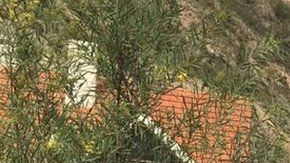 El gobierno Mexicano asegura que la presencia de agentes de seguridad y de inteligencia ante su embajada en La Paz ha aumentado.