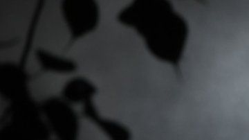 Fue tan redondo que parecía dibujado.