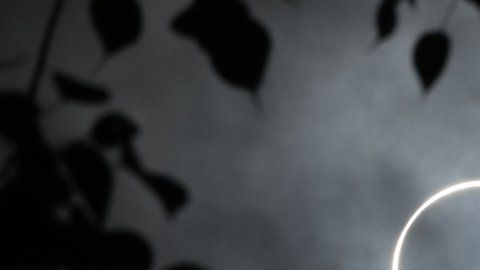 Fue tan redondo que parecía dibujado.