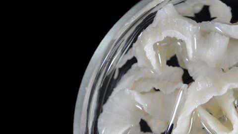 110343450_gettyimages-521663191