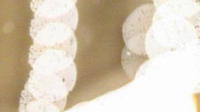 110351910_gettyimages-1186412904