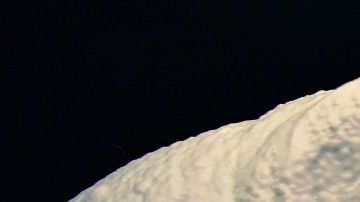 El molde muestra como sería la cabeza del Gnathovorax Cabreirai.