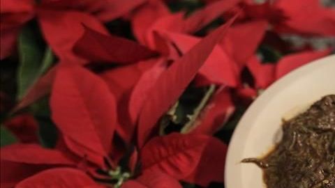 Los romeritos son un guisado popular navideño originario de la región central de México.