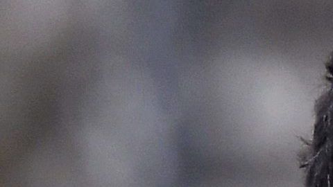 Maradona aseguró que lleva 13 años sin consumir drogas .