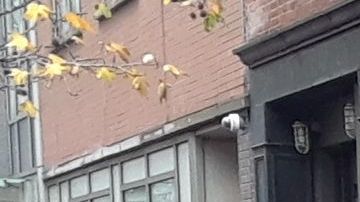 Si es un trabajo, piden aplicar filtros