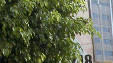 Ingrid Coronado y Fernando del Solar.