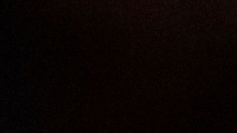 El presidente Trump es investigado por la Cámara.