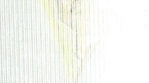 Ana Brenda Contreras.