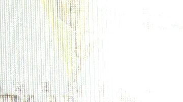 Ana Brenda Contreras.