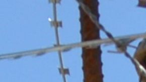 El Departamento de Defensa ha desplegado unidades en la frontera.