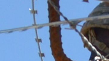 El Departamento de Defensa ha desplegado unidades en la frontera.