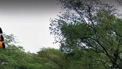 5 Av con 96 St, frente a Central Park