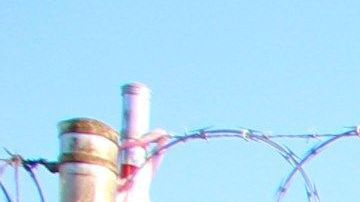 Niños migrantes bloquean un puente fronterizo en Texas.