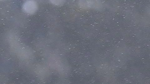 'El Comandante' sorprendió con su nueva adquisición en su país natal.