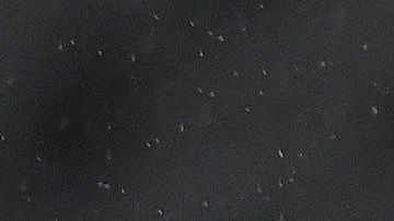 Raúl Jiménez salió al minuto 81.