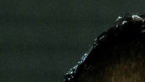 Lionel Messi espera un duelo cerrado contra el Real Madrid.