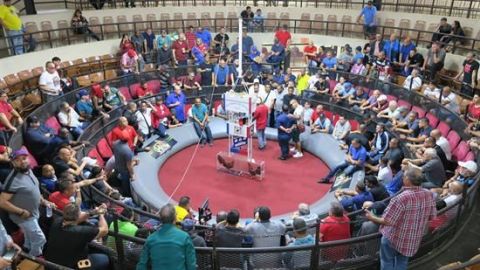 Aficionados a las peleas de gallo esperan el inicio de las peleas en el Club Gallístico de San Juan.