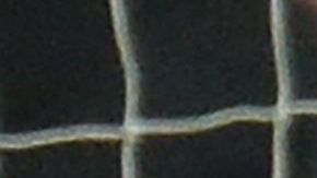 El Lobo Mexicano pasa por el mejor momento de su carrera.