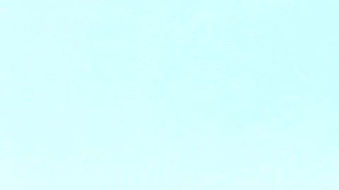 Anandrea Molina (centro) con algunas trans que ayuda.