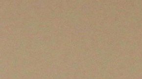 El director nacional de Mi Familia Vota, Héctor Sánchez Barba (i), y la directora del capítulo de Nevada, Cecia Alvarado.