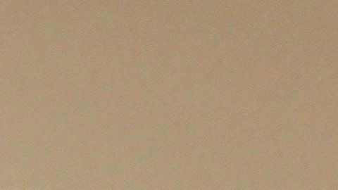 El director nacional de Mi Familia Vota, Héctor Sánchez Barba (i), y la directora del capítulo de Nevada, Cecia Alvarado.