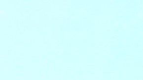 Anandrea Molina con miembros de la comunidad trans.