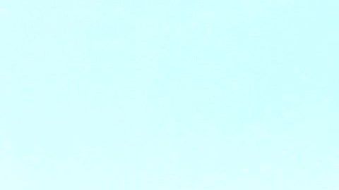 Anandrea Molina con miembros de la comunidad trans.