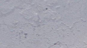 México ha vivido los últimos diez años marcado por una ola de violencia.