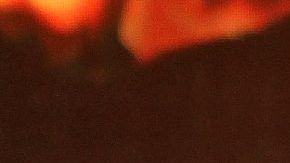 7347-LeonardoAguilar002