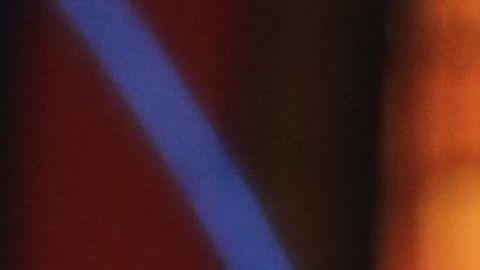 Chiquinquirá Delgado.