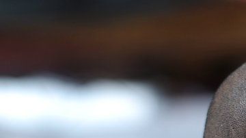 MS-13 es como se conoce a la rama de la Mara Salvatrucha en Estados Unidos.