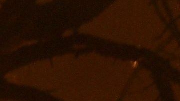 Actualmente hay 70 incendios activos.