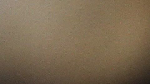 Una delegación del Congreso de EEUU fue a suplir la ausencia de Trump en la COP25.