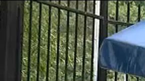 NYPD en Lasker Pool, Central Park North