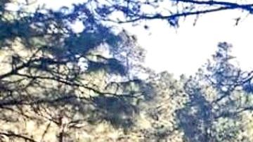 Acaban con la Fiestera_946307