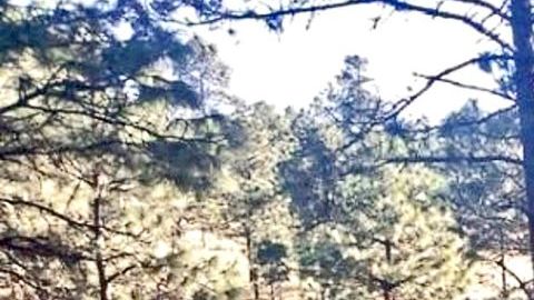 Acaban con la Fiestera_946307