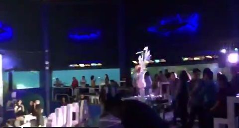 Escándalo por fiesta de director del acuario.