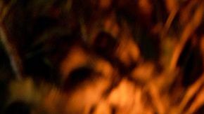 Michelle Salas y Alan Faena