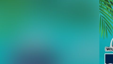 Ya tenemos listos los playoffs rumbo al Super Bowl LIV de Miami.