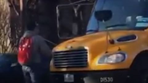 El DISD informó que el conductor ha sido suspendiendo.